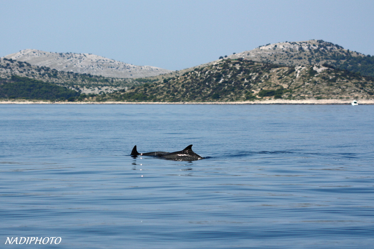 Chorvatsko - národní park Kornati 20